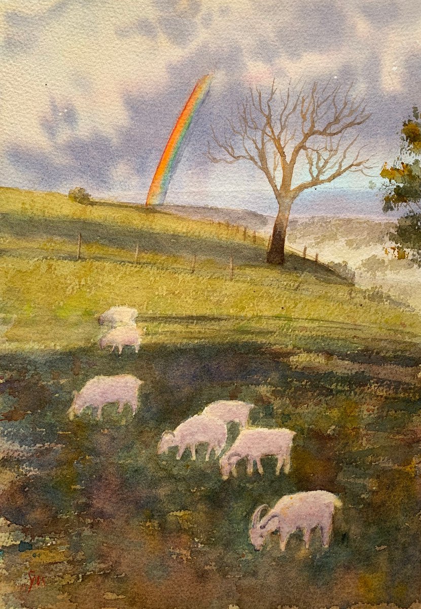 Rainbow by Shelly Du