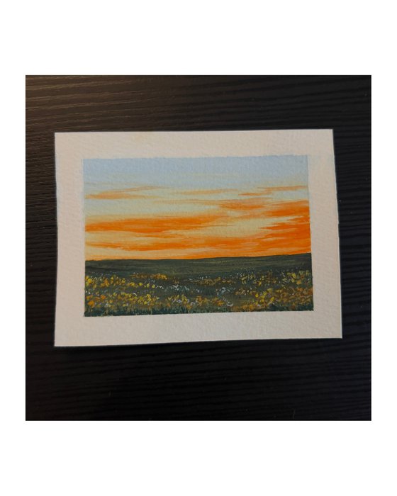 Blumenwiese im Abendrot - Miniature Art