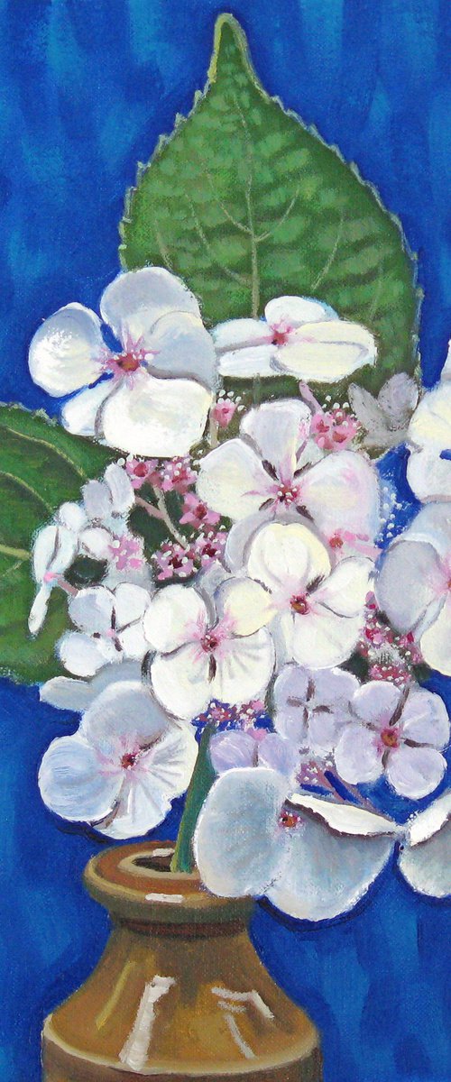 Hydrangea 2 by Richard Gibson