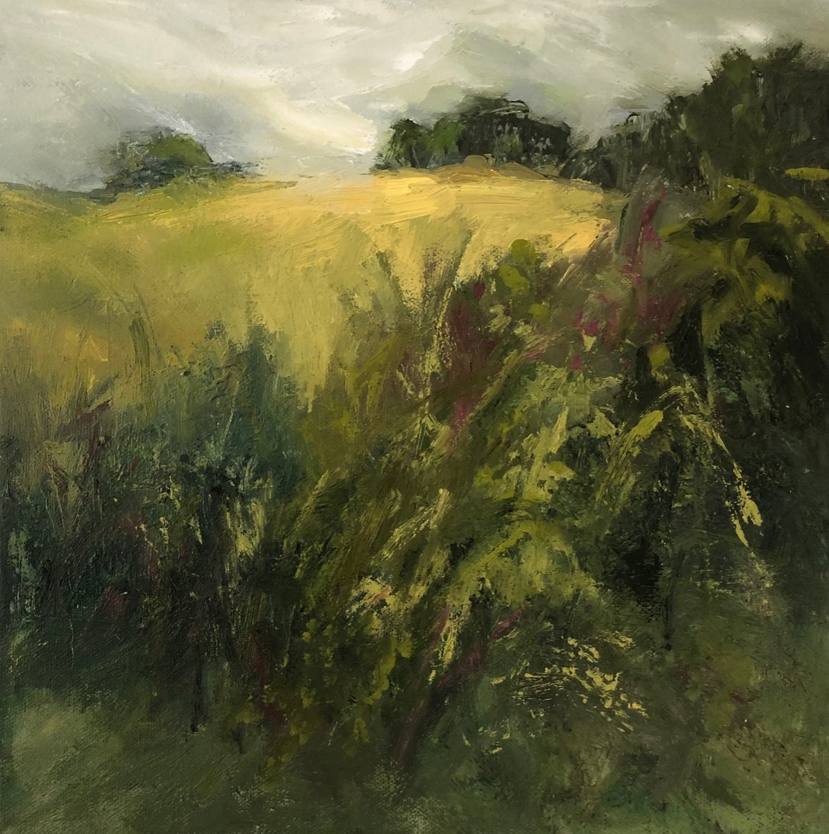 Hedgerow 1 by Joanna Farrow