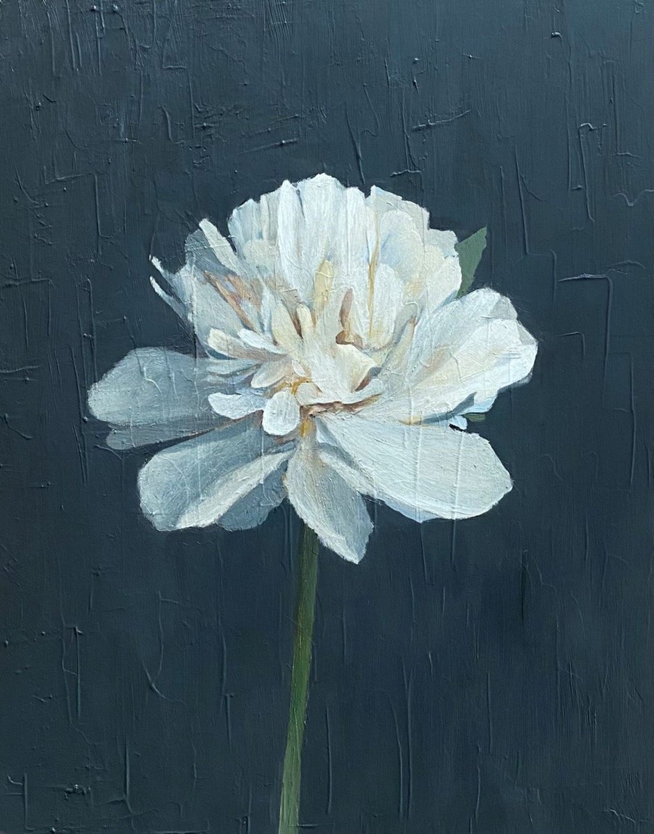 Photorealistic Botanical Oil Painting By Bohdan Vykhrenko, 16 X 20, Floral Painting, Original Artwork