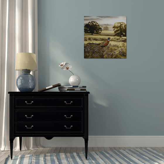 Pheasant in Sunrise Field