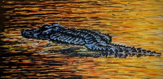 Alligator Swimming At Sunset