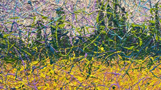 Where Time Dissolves in Bloom