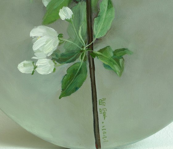 pear flower blossom No.2