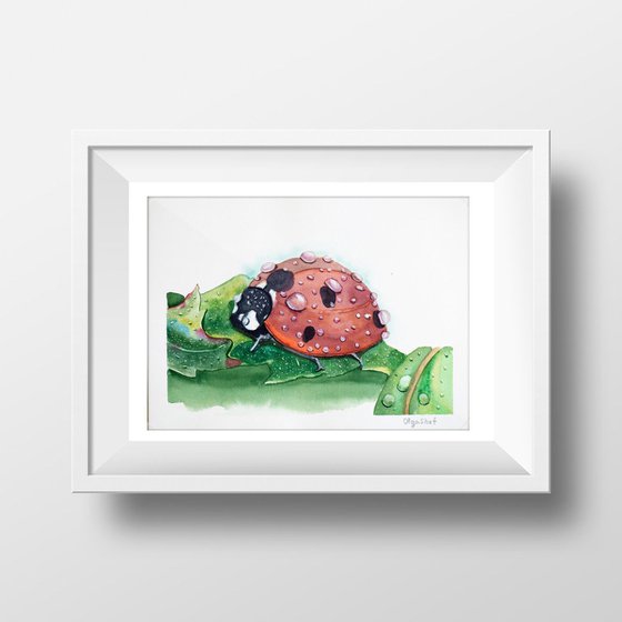 Ladybug