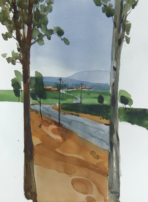 Through the trees, path beyond