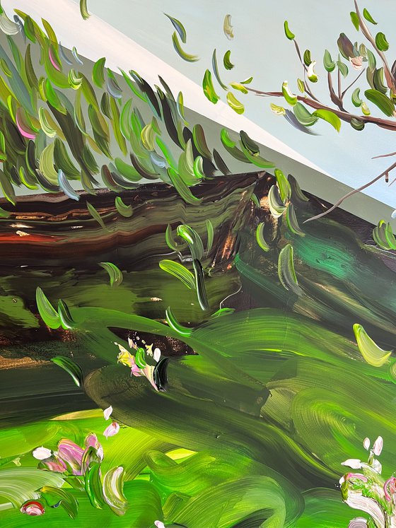 Where light takes root