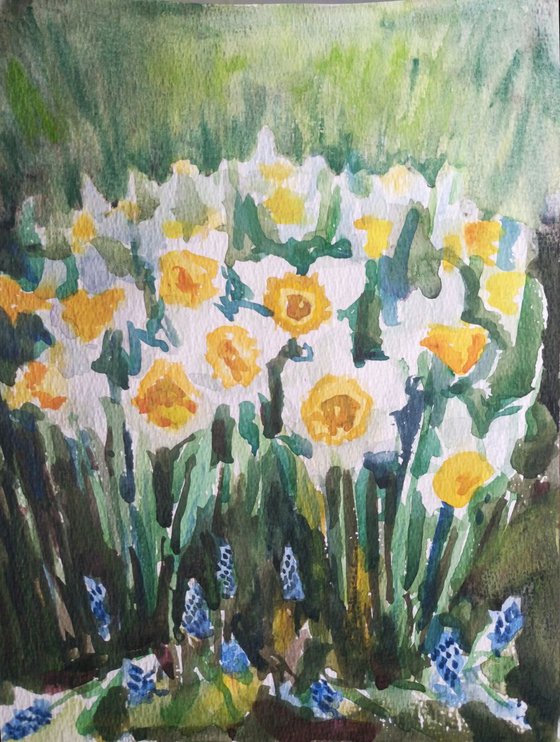 Hello Spring. (Daffodils and Muscari). (SMALL GIFT IDEA, FLOWERS, WATERCOLOR PAINTING)