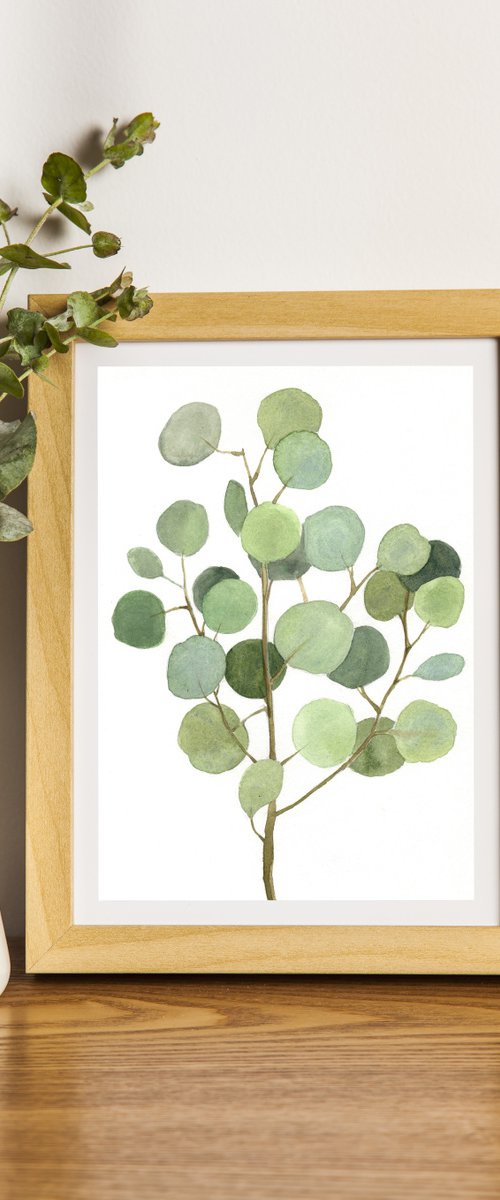 Eucalyptus light by Mia