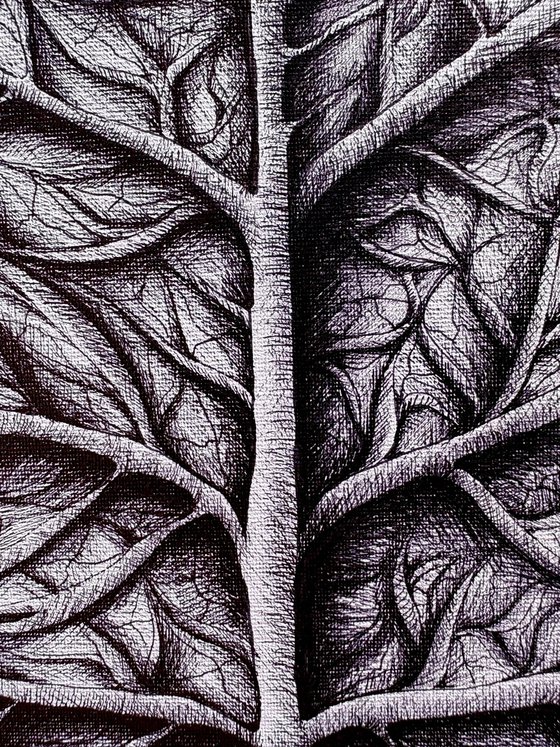 THE LIFE OF A LEAF