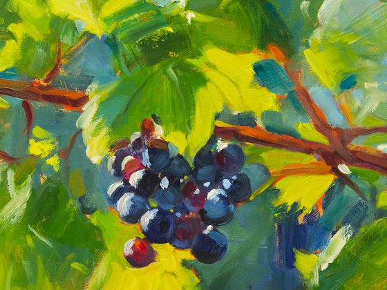 Sun-Kissed Grapes