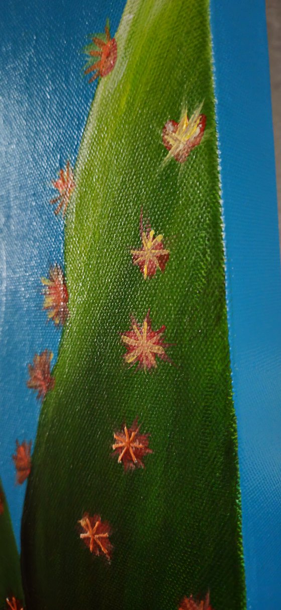 Cactus