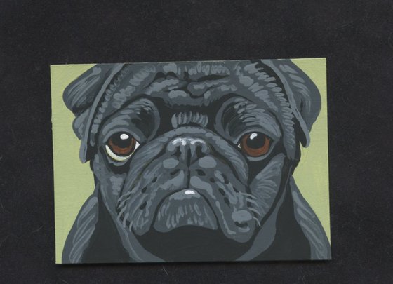 ACEO ATC Original Miniature Painting Black Pug Pet Dog Art-Carla Smale