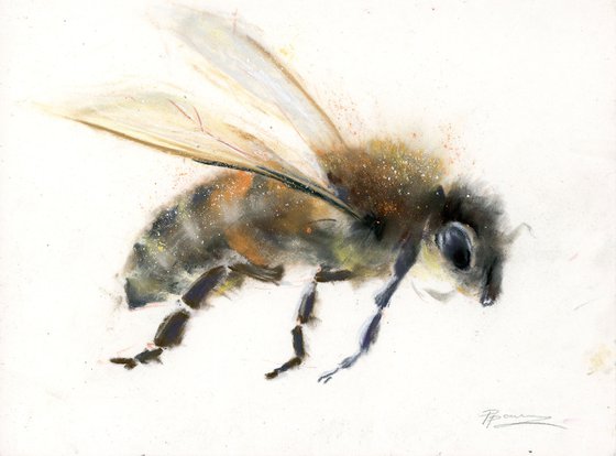 Honey bee