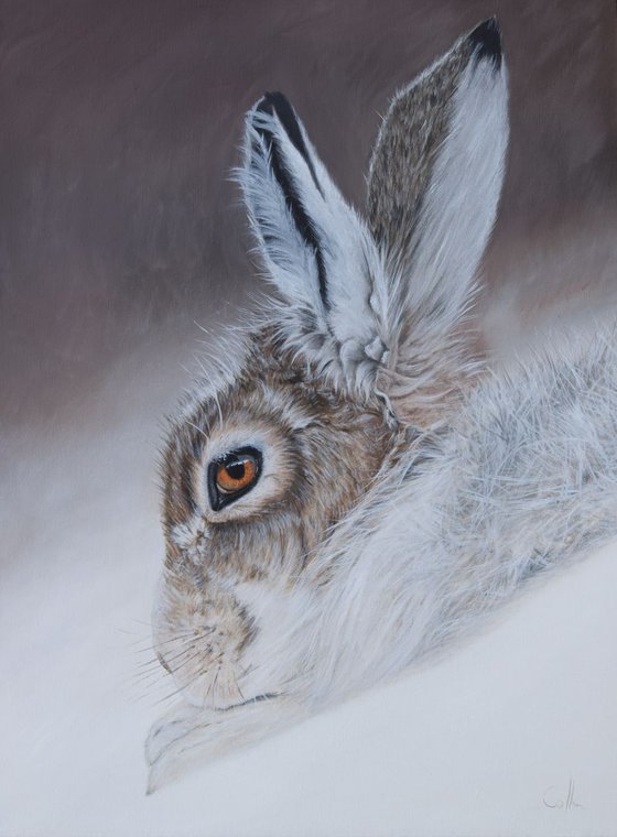 'Snow Bunny'