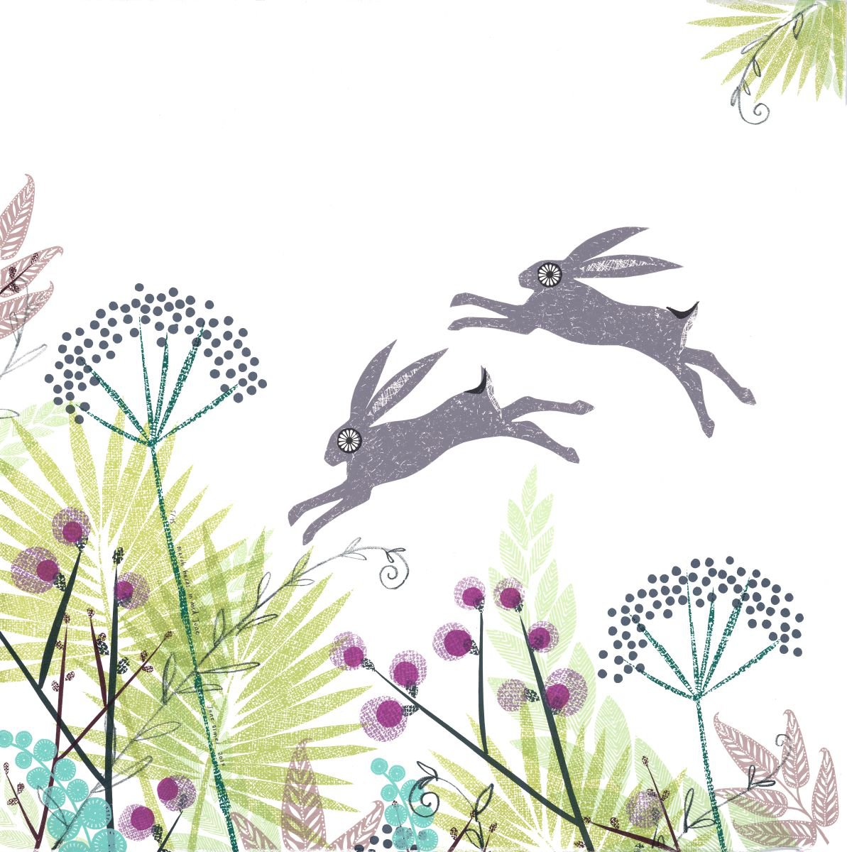 March hares in mid June by Jane Ormes
