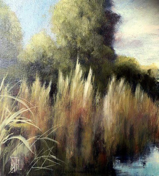 GRASSES IN THE FENS