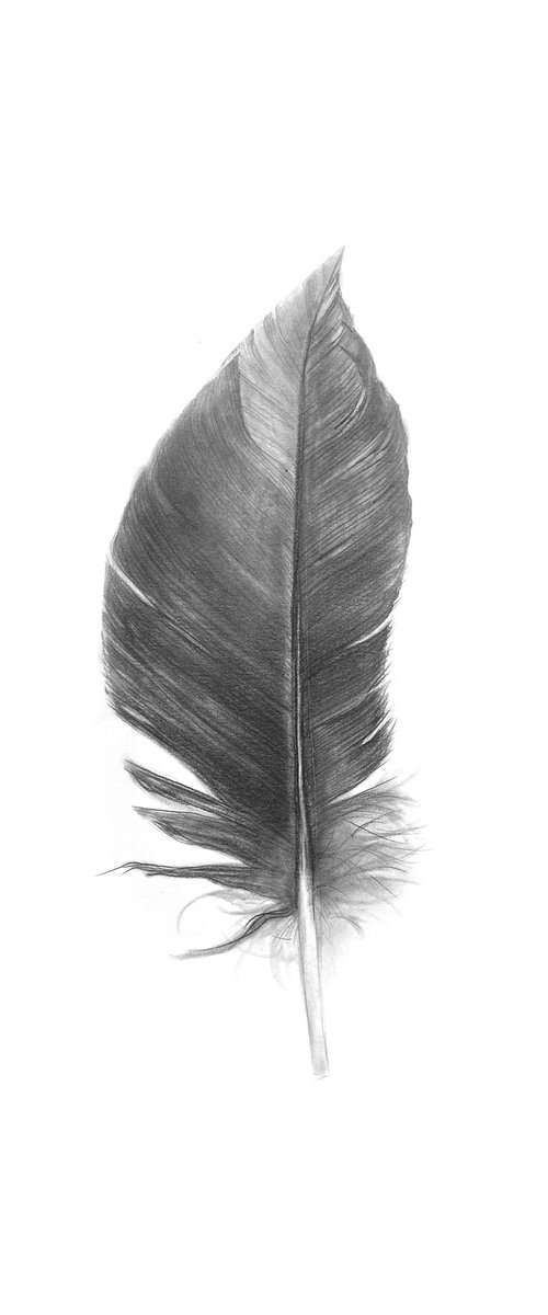 Resilience by Anna Lyashenko