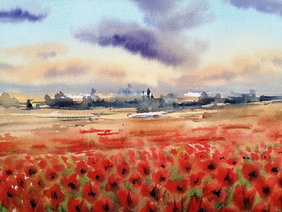 poppies field 3