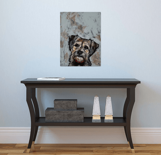 Bella The Border Terrier