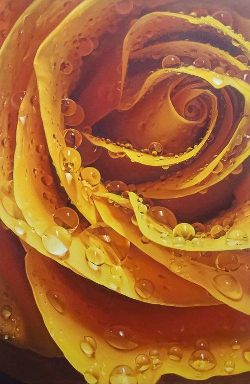 Yellow Rose by Vasyl Luchkiv