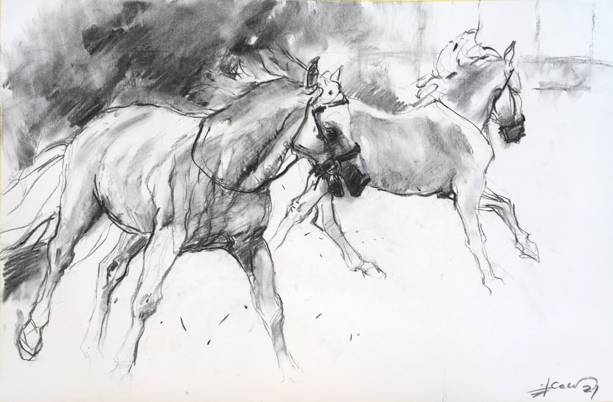 Expressive Animal Charcoal Drawing By Goran Zigolic Watercolors, 30 X 19, White Horses, Original Artwork