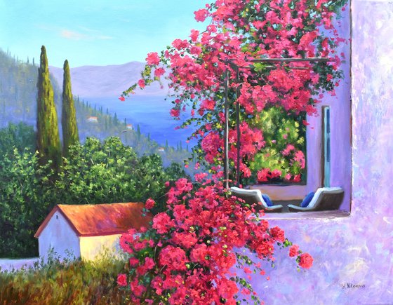 Climbing Bougainvillea