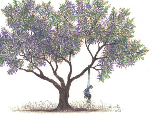 Purple Jacaranda