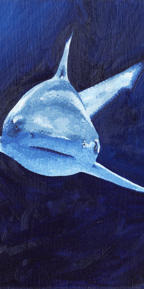 Blacktip Shark Oil Painting - "Brave" by Kelsey Emblow