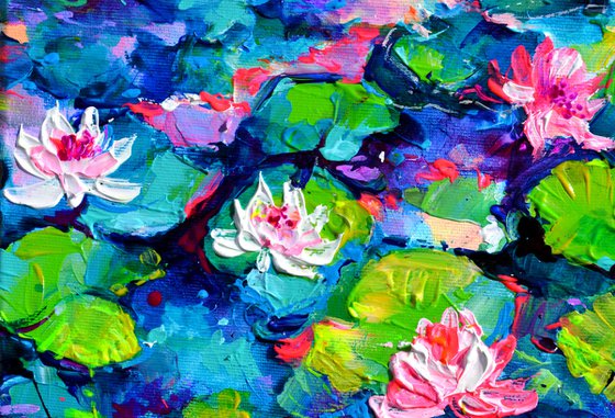 Pink Water Lilies on the Pond