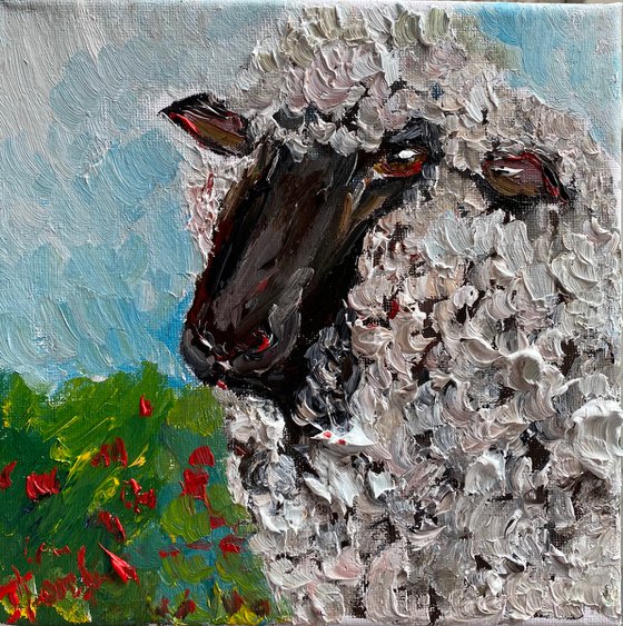 Sheep portrait