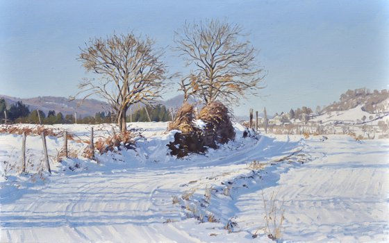 Country lane under the snow