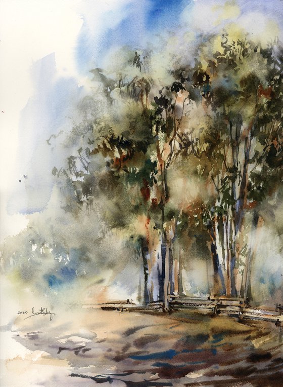 Landscape with Eucalyptus Trees