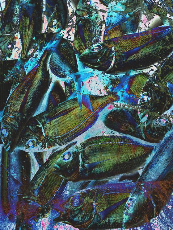 Digital collage Colorful Fish