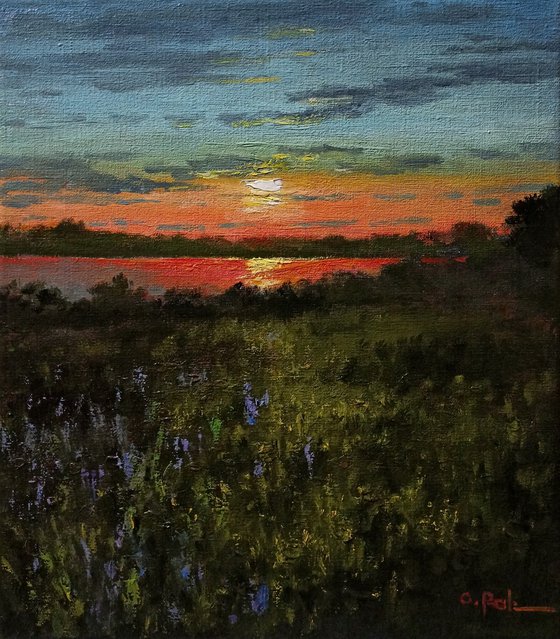 A quiet evening by the river