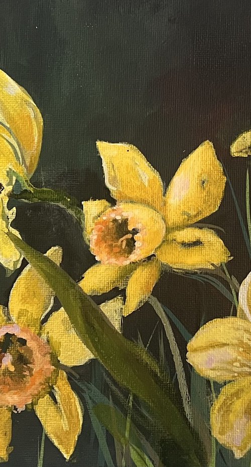 daffodils by Carolyn Shoemaker (Soma)