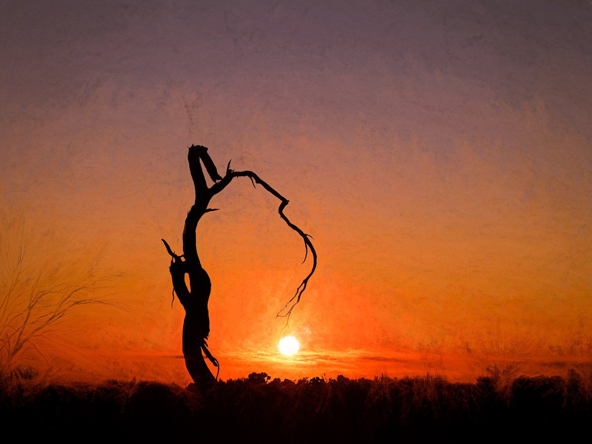 Impressionistic Landscape Photograph By Nick Psomiadis, 57 X 43", Impression Of Tyrrell, Original Artwork