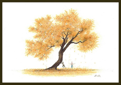 Yellow silk cotton tree by Shweta  Mahajan