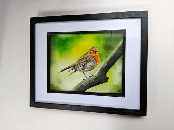 "Robin"   Original Oil Painting Framed