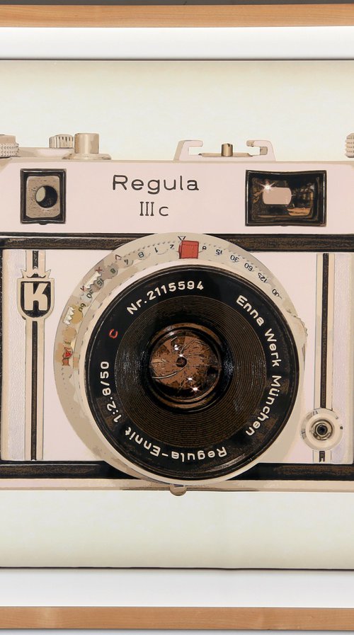 Regula camERA - Mixed Media by LA Marler