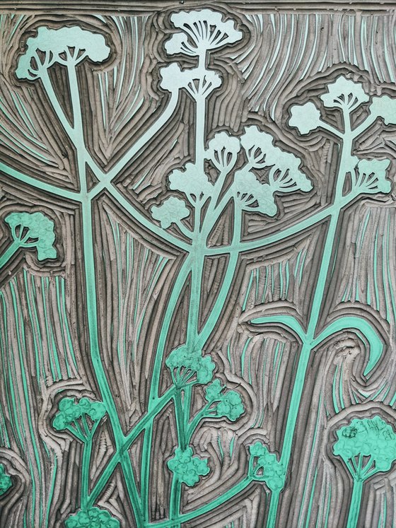 Verbena