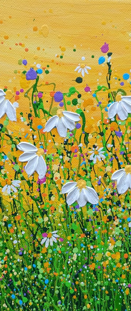 Morning Daisy Delight #7 by Lucy Moore