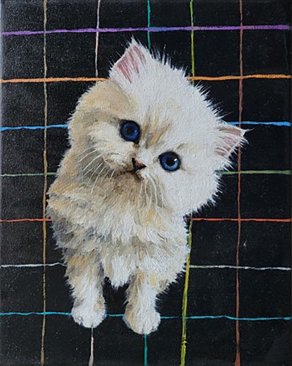 White Persian Kitten by Lisa Braun