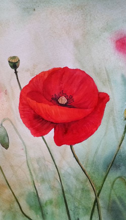 Red Poppies on Summer Meadow by Olga Beliaeva Watercolour