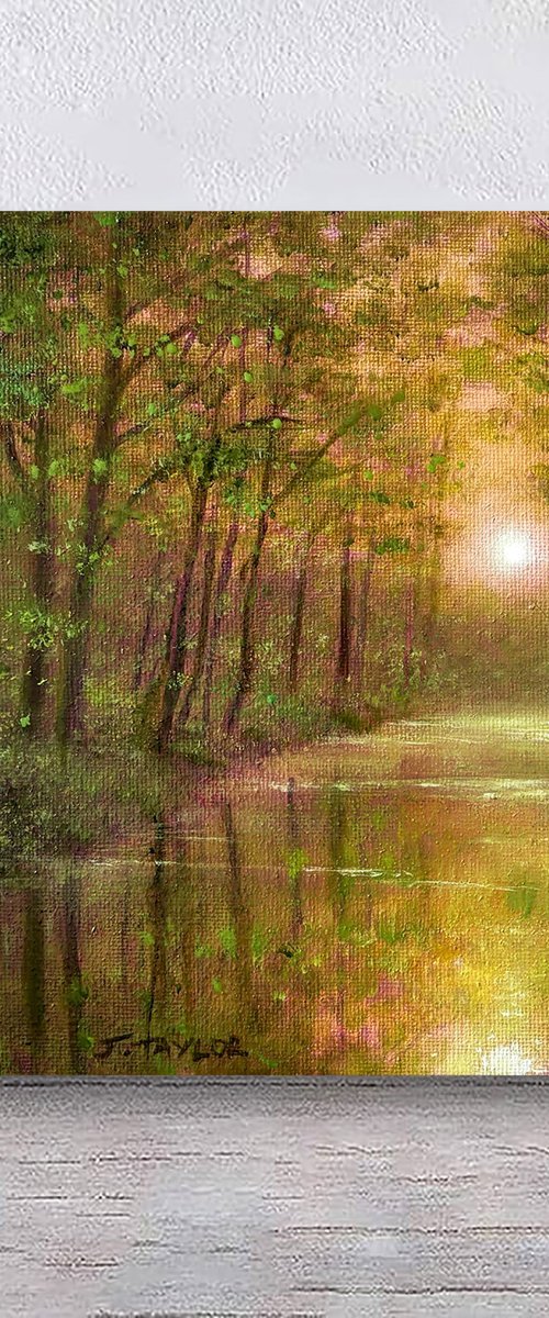 Reflections Of Gold by Jennifer Taylor