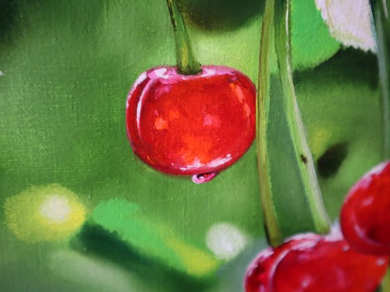 Red Cherries on Branch