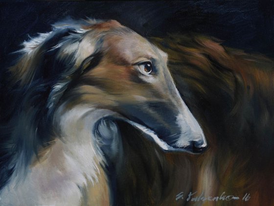 Russian borzoi