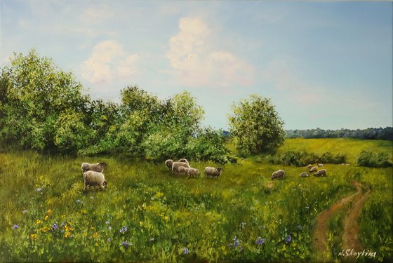 Sheep Meadow, Sunny Countryside Farm Field