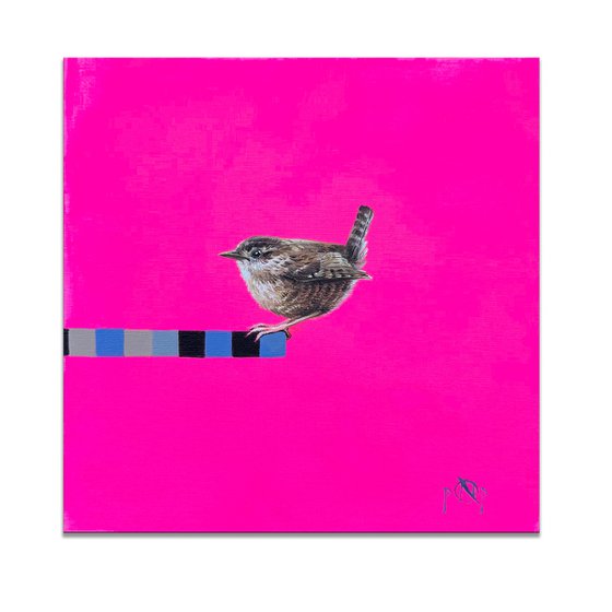 Carolina Wren